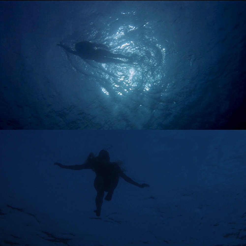 Jaws