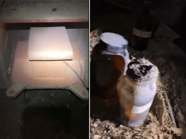 Ohio Couple’s Home Renovation Leads to a Chilling Discovery and an FBI