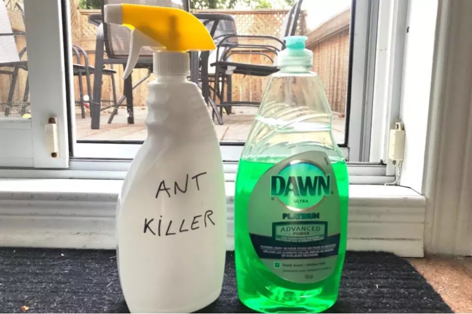 2282a37c Ant Killer 