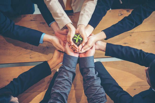 People with hands together holding a plant