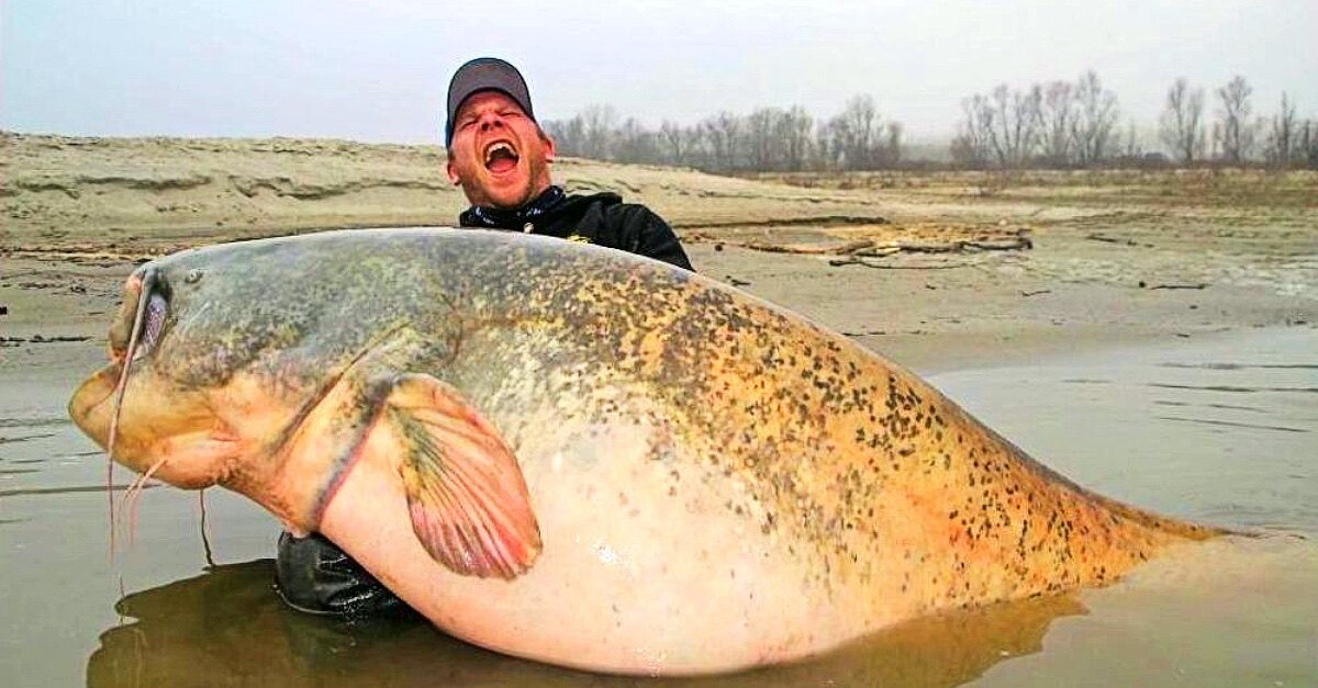 Gone Fishing: Stunned Fisherman Notices Something Odd Inside The Mouth ...