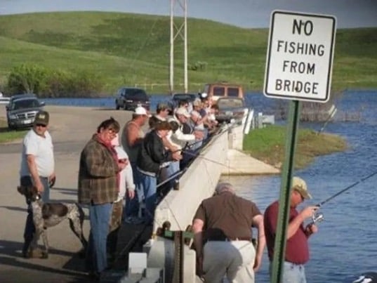 Funny Fishing Photos That Will Have You Reeling With Laughter - Trendy ...