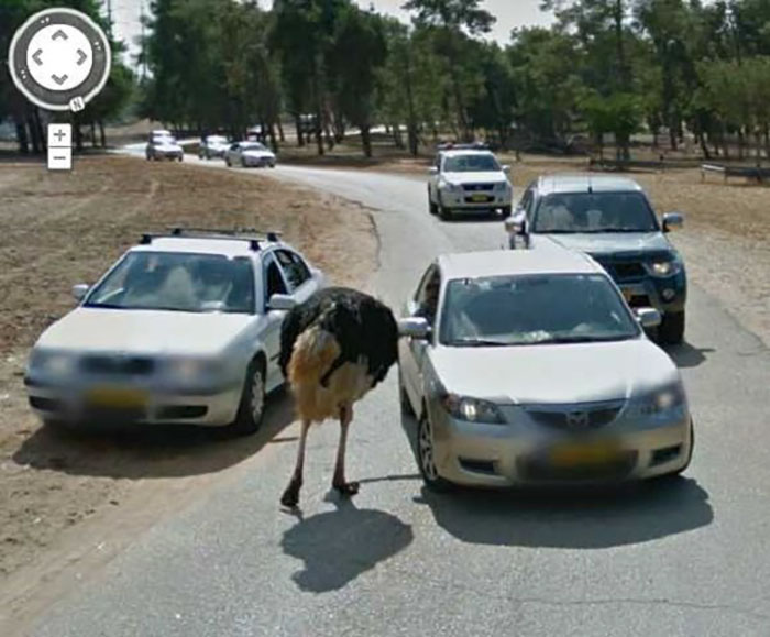 The Best Photographs Taken By Accident On Google Street View And Google