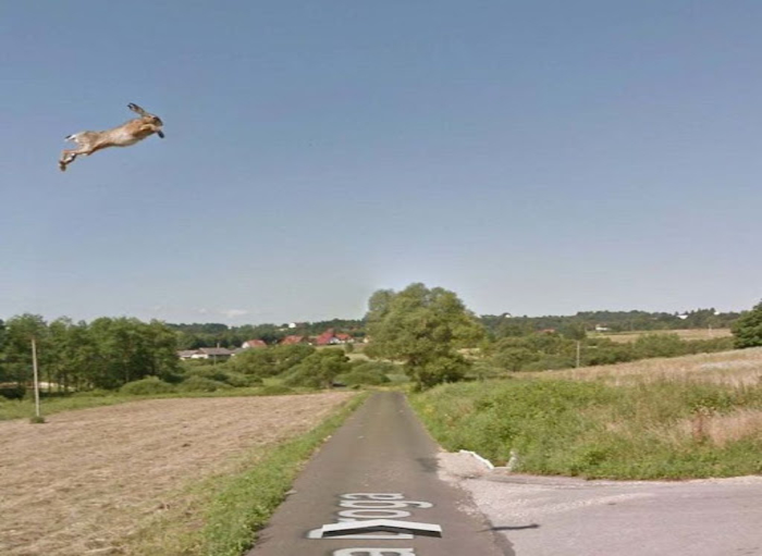 The Best Photographs Taken By Accident On Google Street View And Google ...