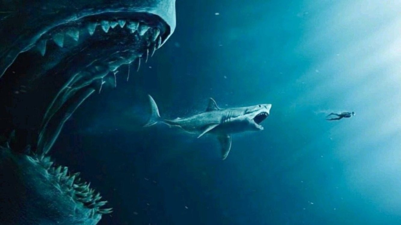 Megalodon: Long-Gone Enormous Shark that Once Ruled the Ocean - Animalsmeal