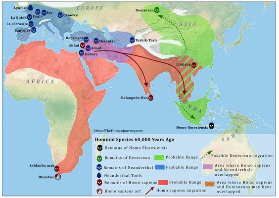 The Truth About Neanderthals and Early Humans